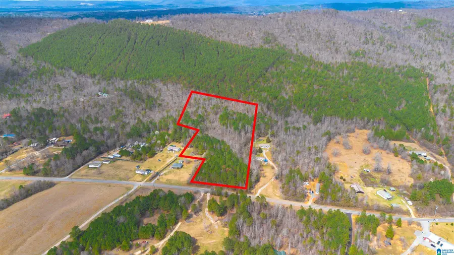 0 SHOAL CREEK ROAD, Ashville, AL 35953 - Image #3
