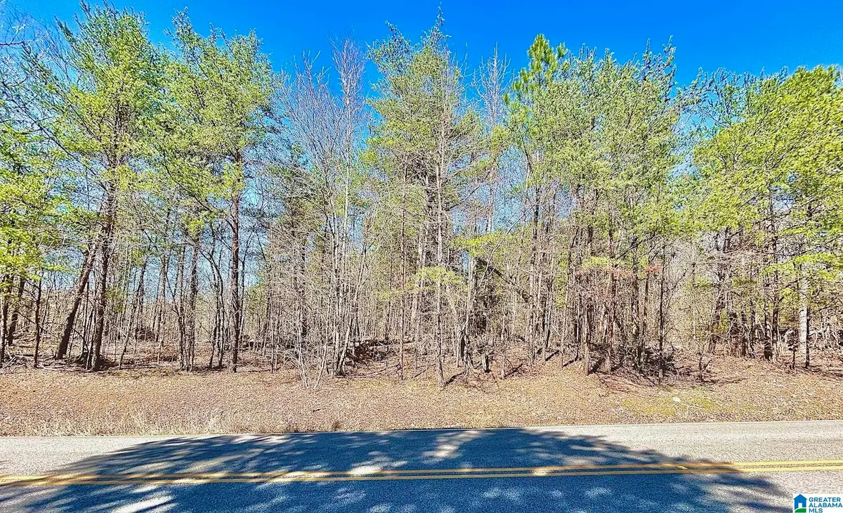 1786 WARRIOR TRAFFORD ROAD, Warrior, AL 35180 - Image #1