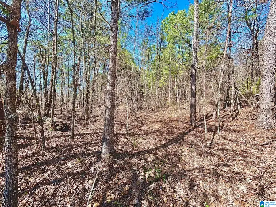 1786 WARRIOR TRAFFORD ROAD, Warrior, AL 35180 - Image #2