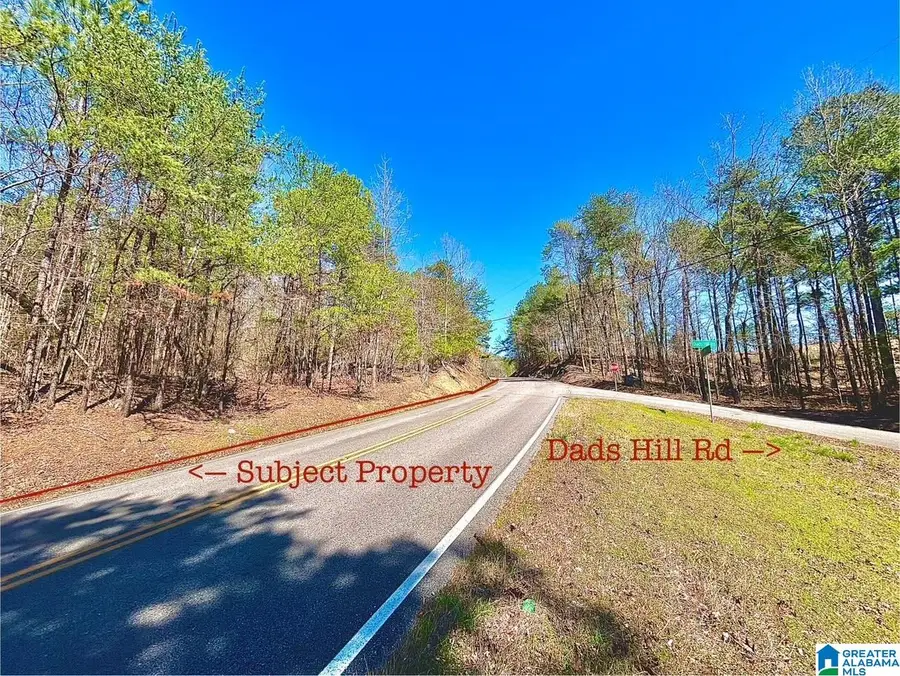 1786 WARRIOR TRAFFORD ROAD, Warrior, AL 35180 - Image #3