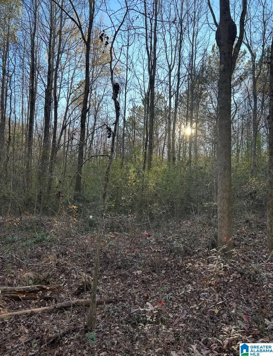 0 MOORE ROAD, Odenville, AL 35120 - Image #2