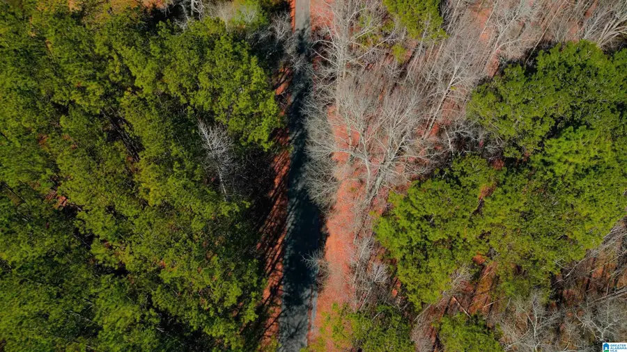 130 MOUNTAIN CREST ROAD, Chelsea, AL 35043 - Image #2