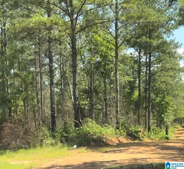 COUNTY ROAD 831, Wadley, AL 36276