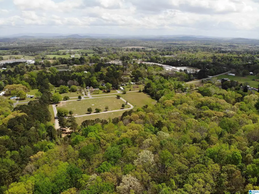 0 OLD SYLACAUGA HIGHWAY, Childersburg, AL 35044 - Image #2