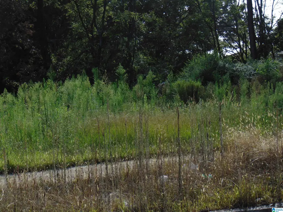 1120 N 30TH STREET, Birmingham, AL 35234 - #2