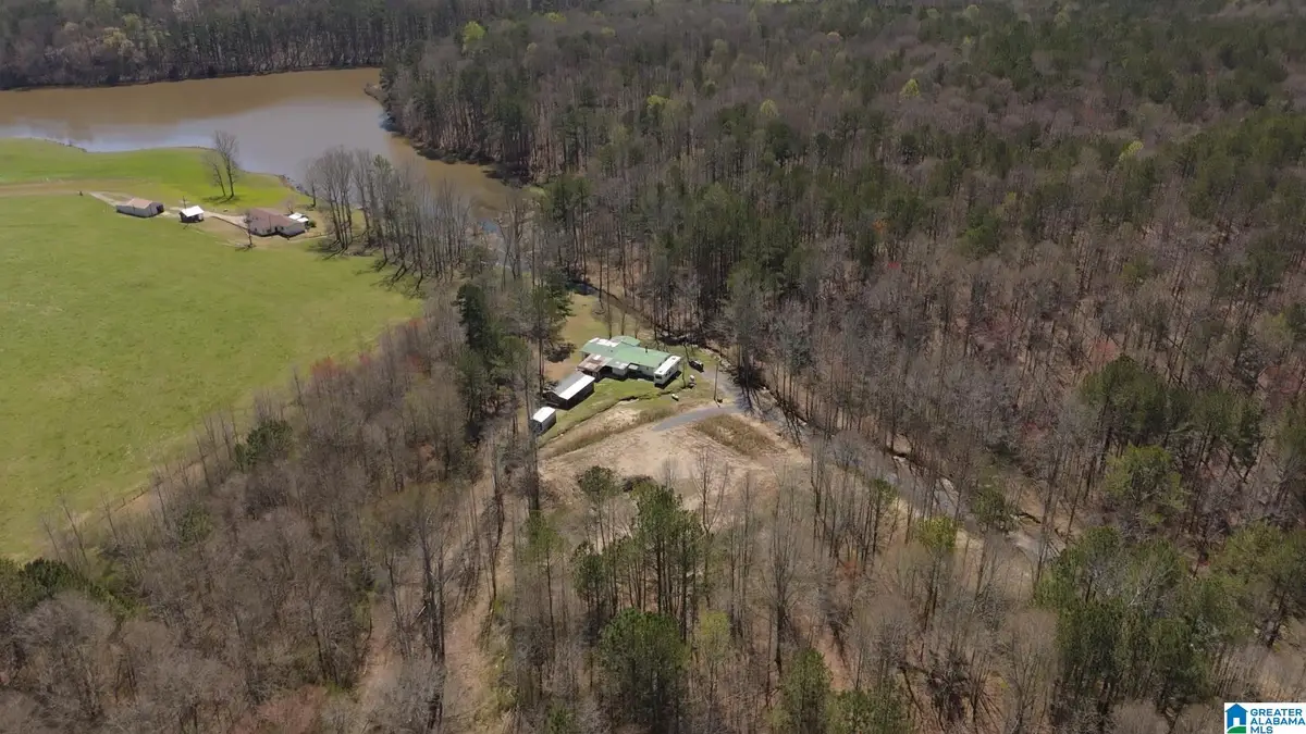 727 COUNTY ROAD 677, Ranburne, AL 36273 - Image #1