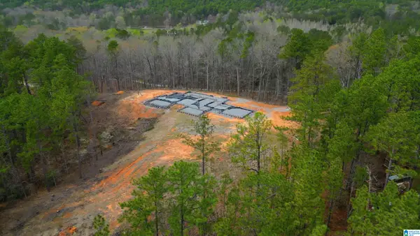 447 OAK TREE DRIVE, Chelsea, AL 35043