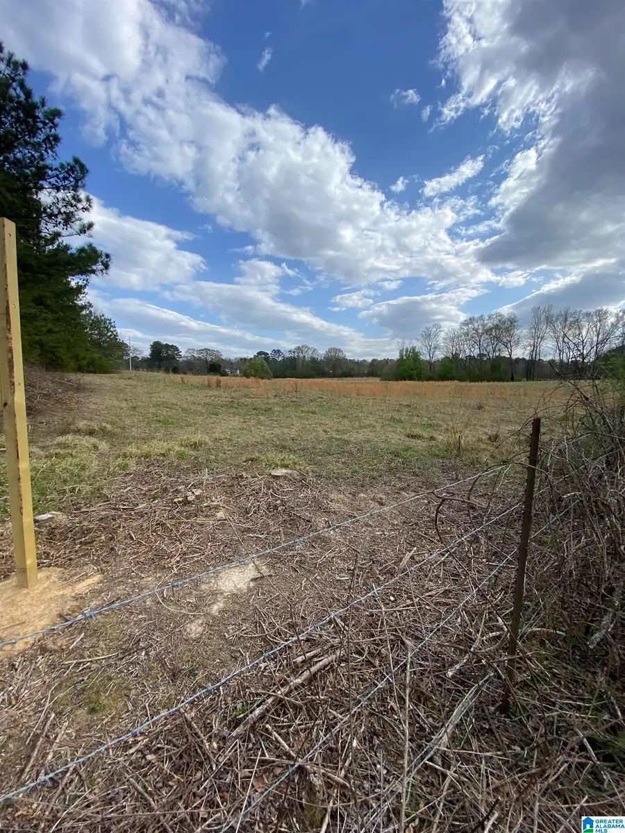 4474 CAMP COLEMAN ROAD, Trussville, AL 35173 - Image #3