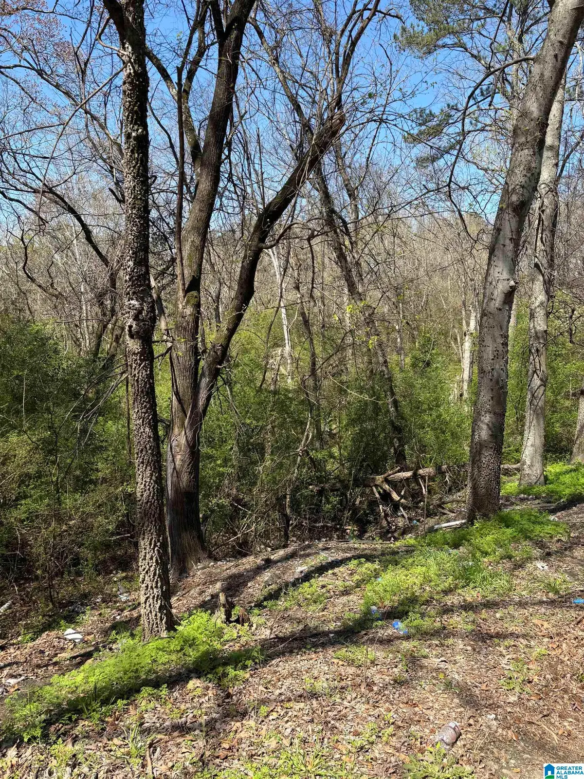 1589 SIMMONS STREET, Dolomite, AL 35061 - Image #1