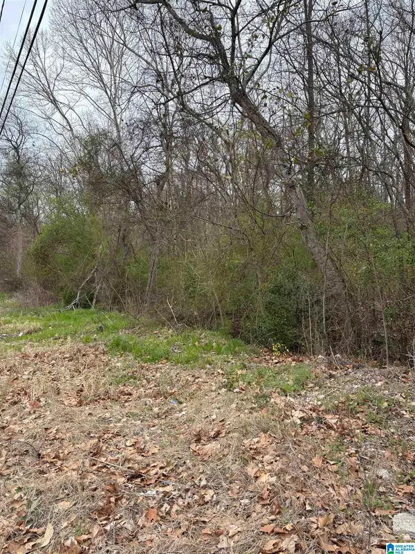 1599 SIMMONS STREET, Dolomite, AL 35061