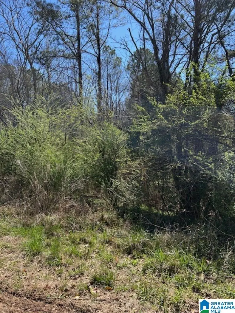 CATHEDRAL LANE, McCalla, AL 35111 - Image #1