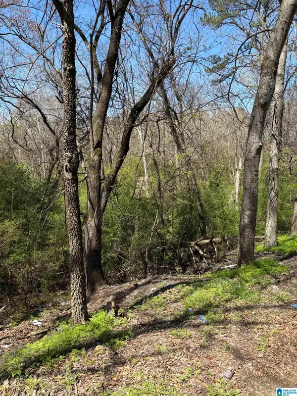 1650 SIMMONS STREET, Pleasant grove, AL 35061