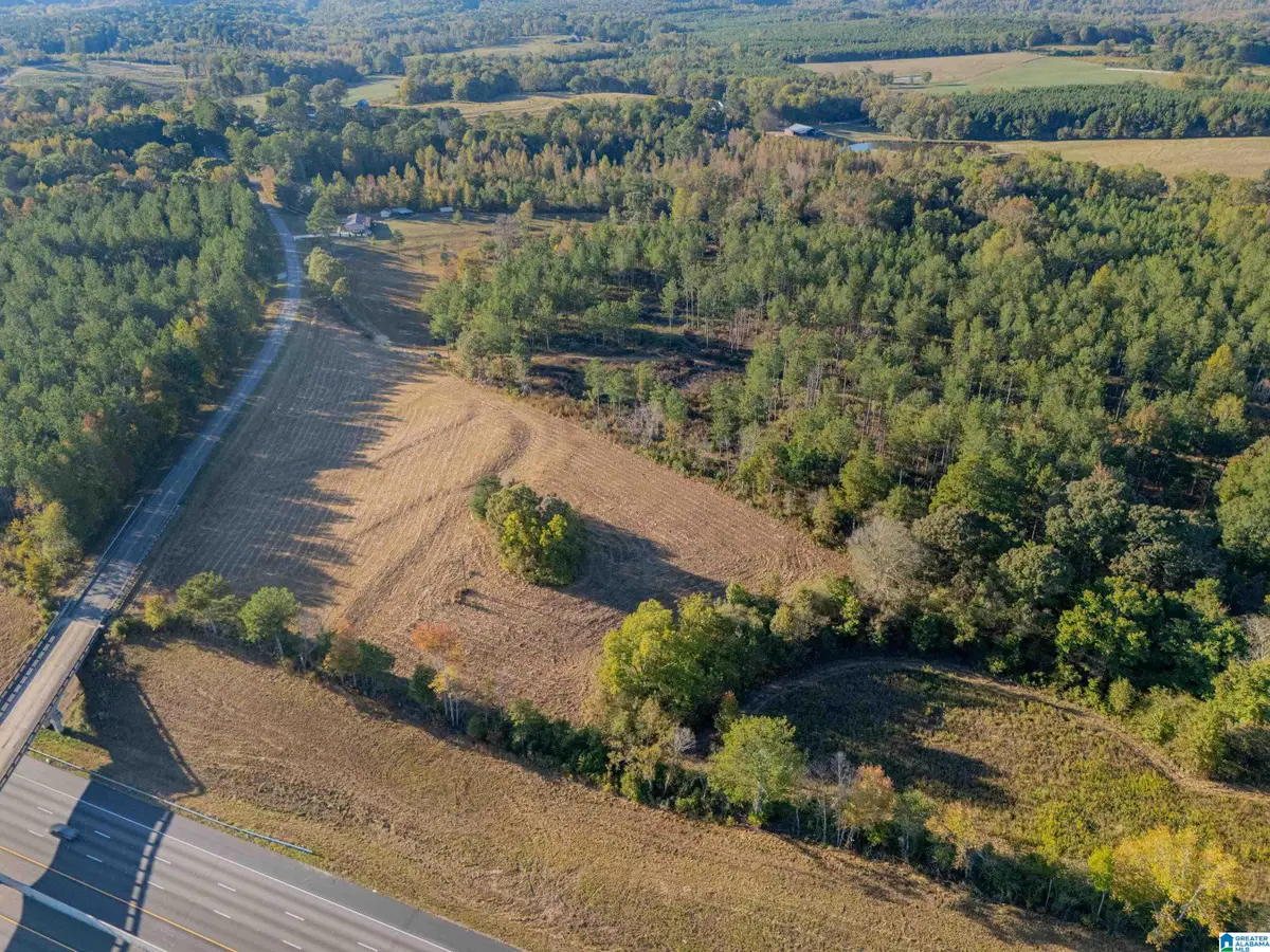 14381 COUNTY ROAD 66, Heflin, AL 36264 - Image #1