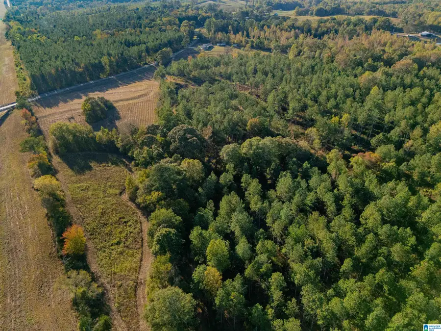 14381 COUNTY ROAD 66, Heflin, AL 36264 - Image #3