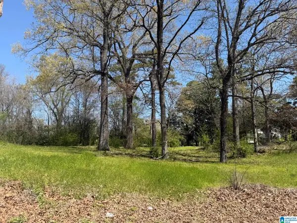 5251 7TH AVENUE, Midfield, AL 35228