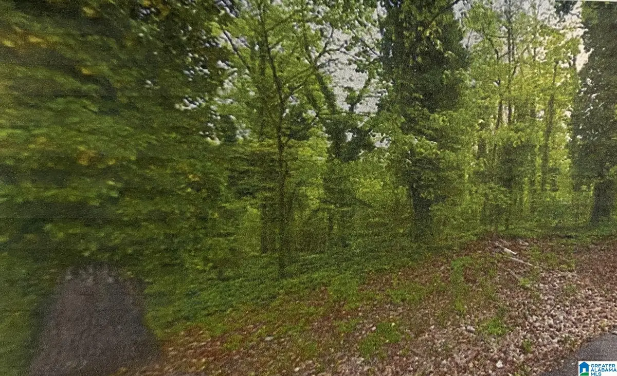 Address Withheld By Seller, Birmingham, AL 35210 - Image #1