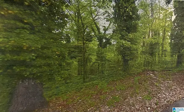 Address Withheld By Seller, Birmingham, AL 35210