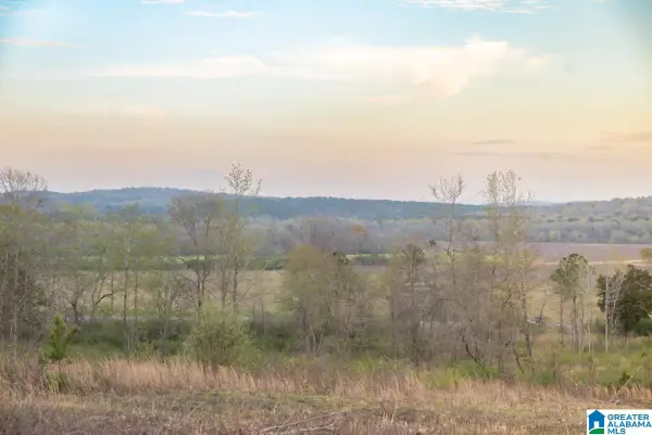 4947 HIGHWAY 231, Vincent, AL 35178