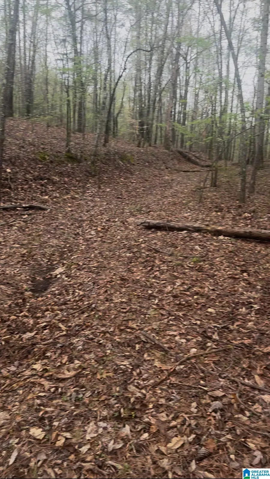 55741 HIGHWAY 25, Leeds, AL 35094 - Image #3