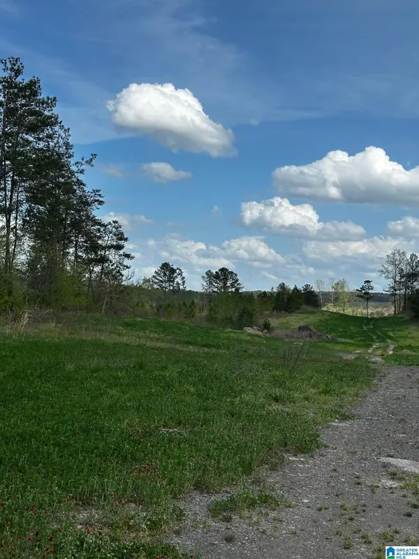 3600 GLOVERS BEND ROAD, Dora, AL 35062