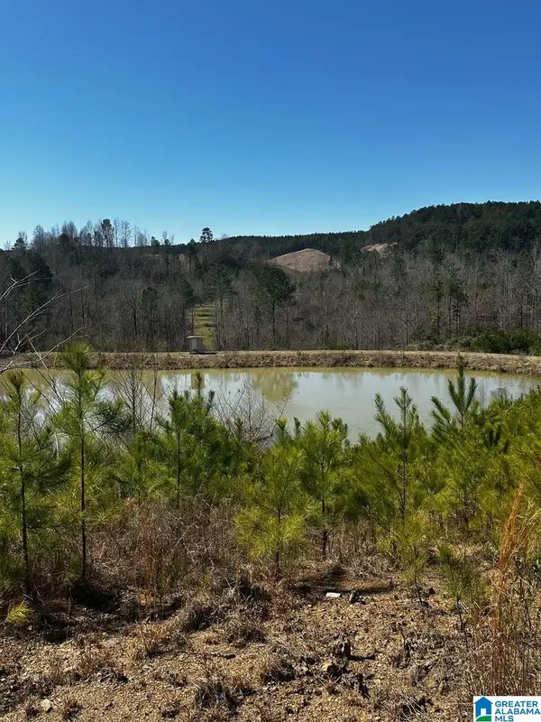 3216 GLOVERS BEND ROAD, Dora, AL 35062