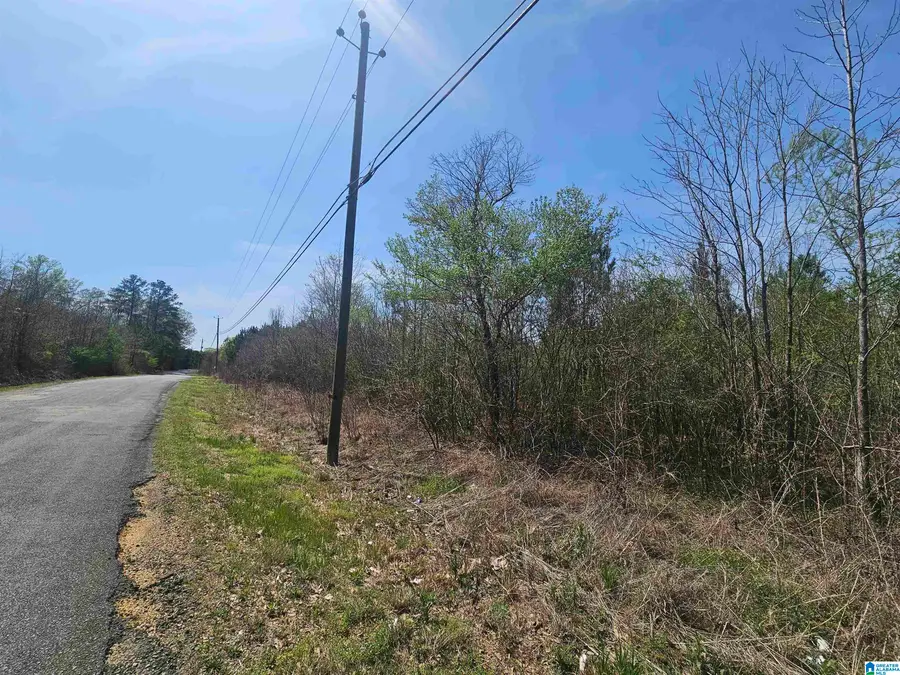 0 TRAILS END ROAD, Leeds, AL 35094 - Image #3
