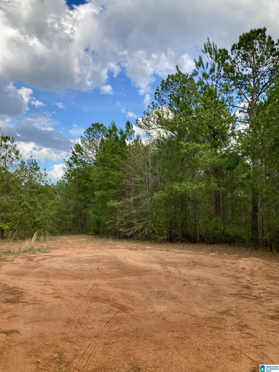 42 COUNTY ROAD 584, Maplesville, AL 36750 - Image #2