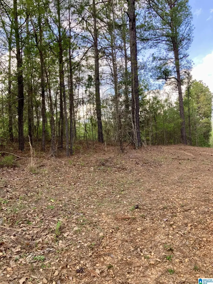 42 COUNTY ROAD 584, Maplesville, AL 36750 - Image #3
