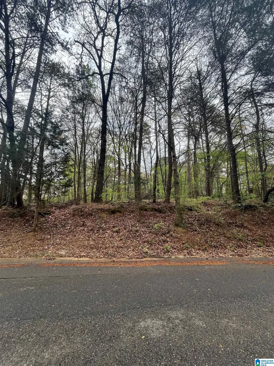 921 PINEHAVEN DRIVE, Bessemer, AL 35023 - Image #2