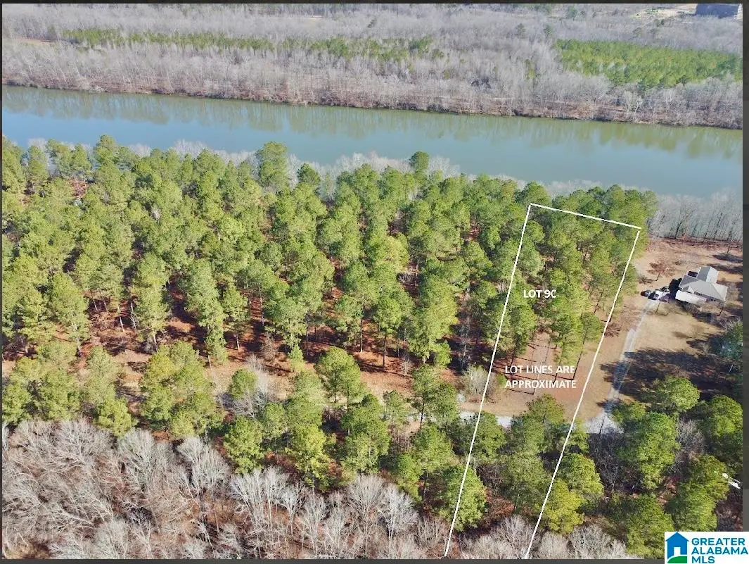 650 & 651 LIBERTY SHORES BOULEVARD, Vincent, AL 35178 - Image #1