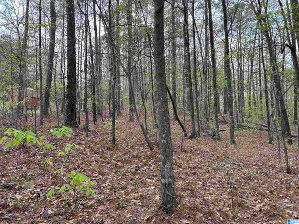 Lot 12 CIRCLE DRIVE, Lakeview, AL 35111