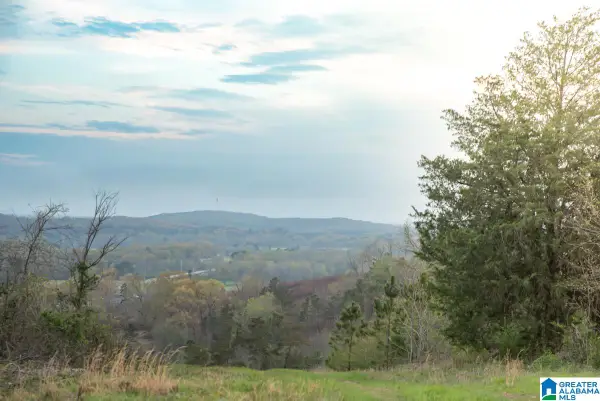 4947 HIGHWAY 231, Vincent, AL 35178