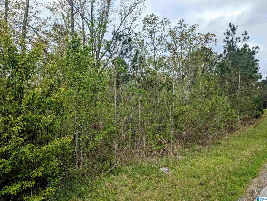 BROKEN ARROW ROAD, Fayetteville, AL 35151 - Image #3