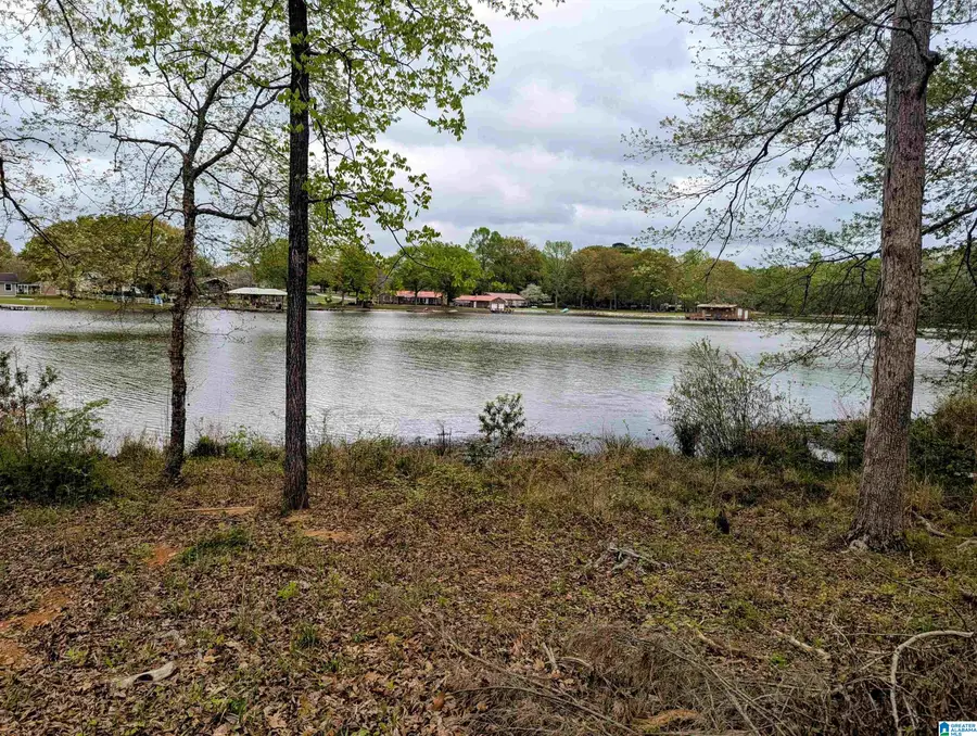 CASTAWAY ROAD, Fayetteville, AL 35151 - Image #2