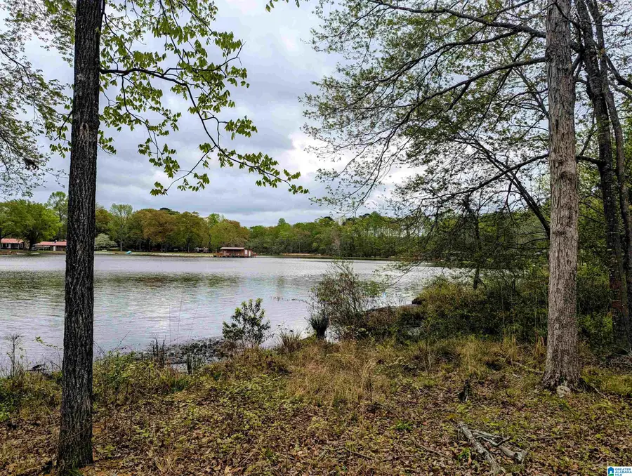 CASTAWAY ROAD, Fayetteville, AL 35151 - Image #3