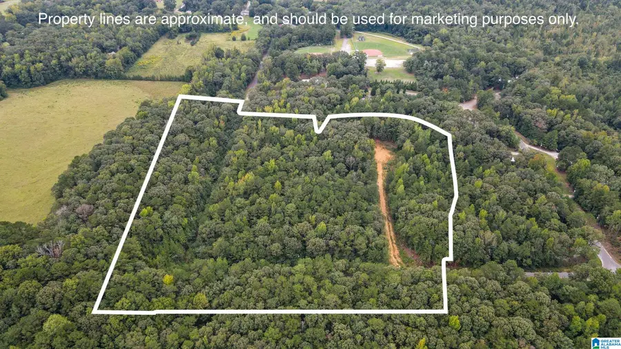 442 DAVIS STREET, Wilsonville, AL 35186 - Image #2