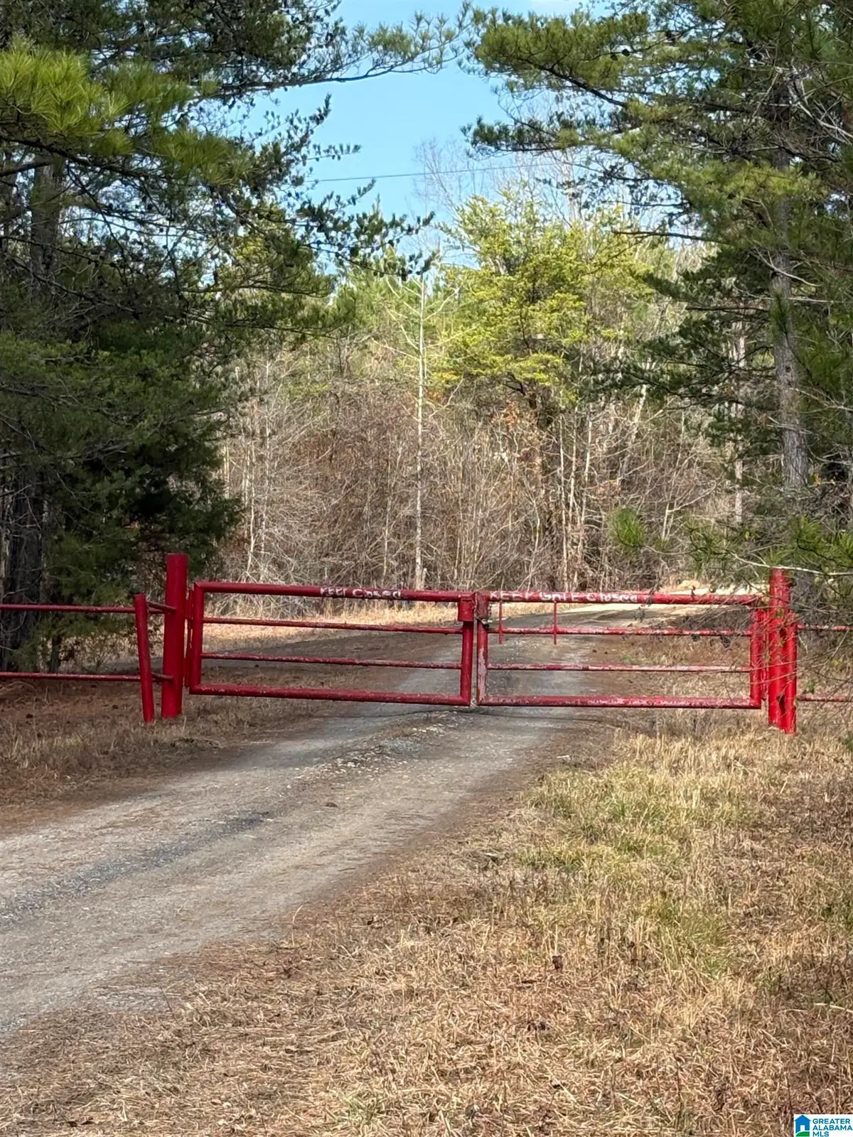 9607 LOCK 17 ROAD, Adger, AL 35006 - Image #1