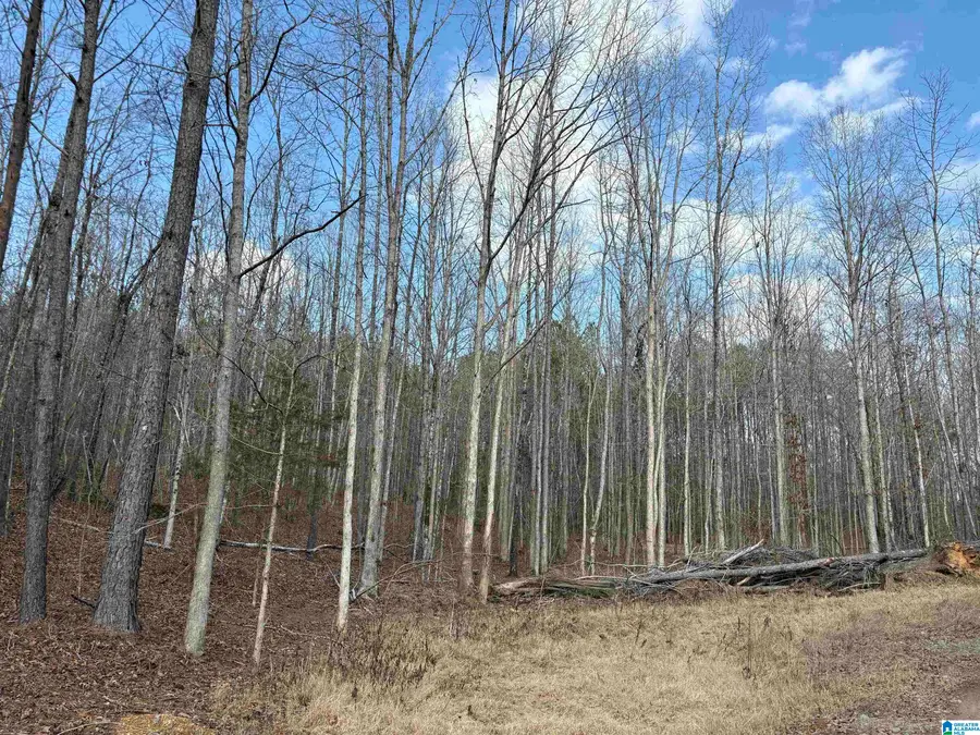 9607 LOCK 17 ROAD, Adger, AL 35006 - Image #3