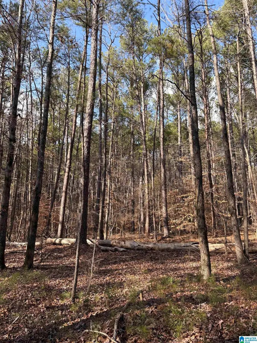 2450- MUD CREEK ROAD, Adger, AL 35006 - Image #2