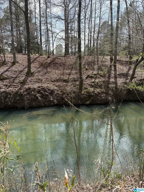 10080 LOCK 17 ROAD, Adger, AL 35006