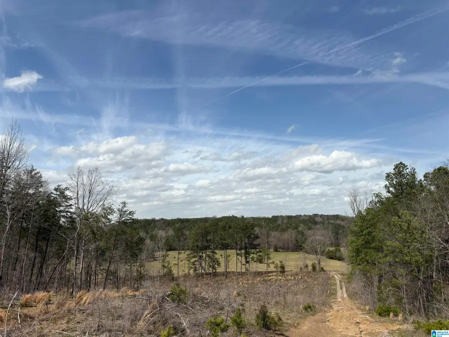 10080 LOCK 17 ROAD, Adger, AL 35006 - Image #3