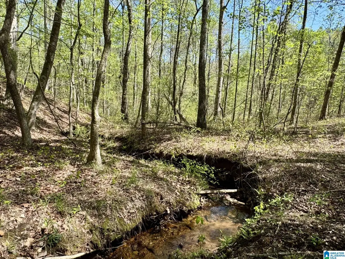 Tract 8 COUNTY ROAD 268, Roanoke, AL 36274 - Image #1