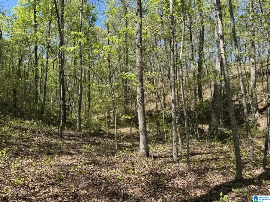 Tract 8 COUNTY ROAD 268, Roanoke, AL 36274 - Image #2