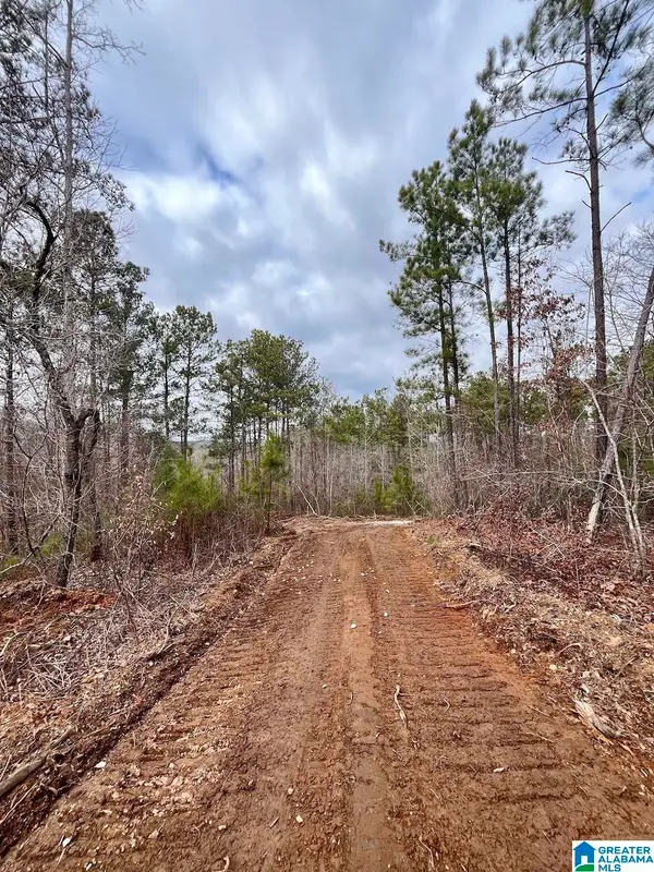 0 COUNTY ROAD 33, Wedowee, AL 36278