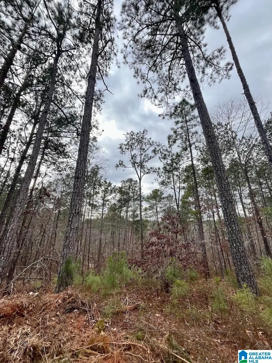 0 COUNTY ROAD 33, Wedowee, AL 36278 - Image #3