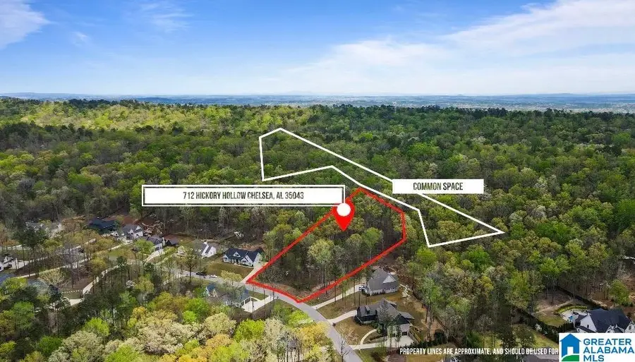 712 HICKORY HOLLOW, Chelsea, AL 35043 - Image #2