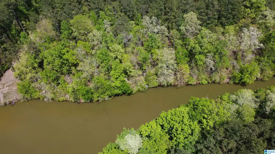 LAKE GENEVA DRIVE, Wedowee, AL 36278 - Image #2