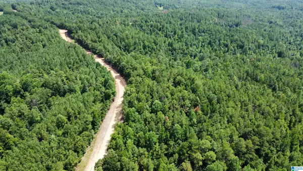 0 PLEASANT RIDGE CIRCLE, Tuscaloosa, AL 35555