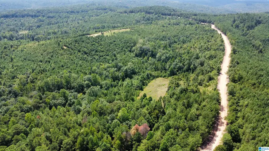 0 PLEASANT RIDGE CIRCLE, Elrod, AL 35555 - Image #2