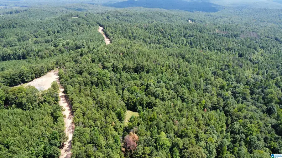 0 PLEASANT RIDGE CIRCLE, Elrod, AL 35555 - Image #3